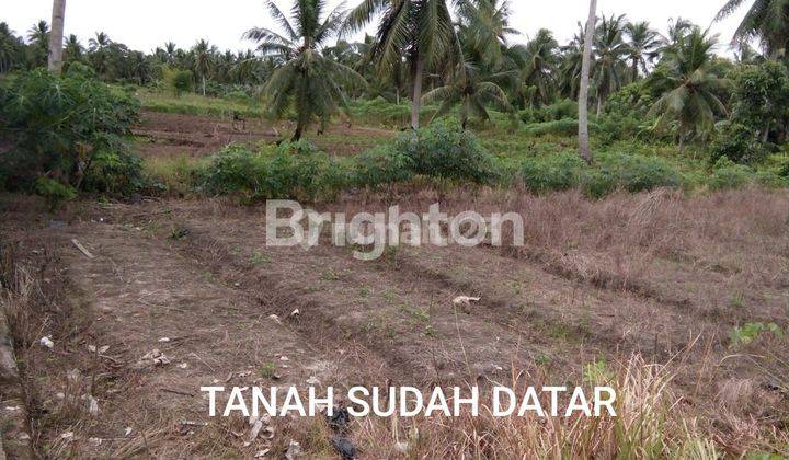 TANAH DI WARU PENAJAM PASER UTARA 2