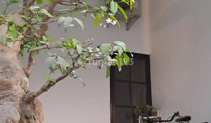 Dijual Rumah Cantik Minimalis Modern, Pagu, Kabupaten Kediri 2