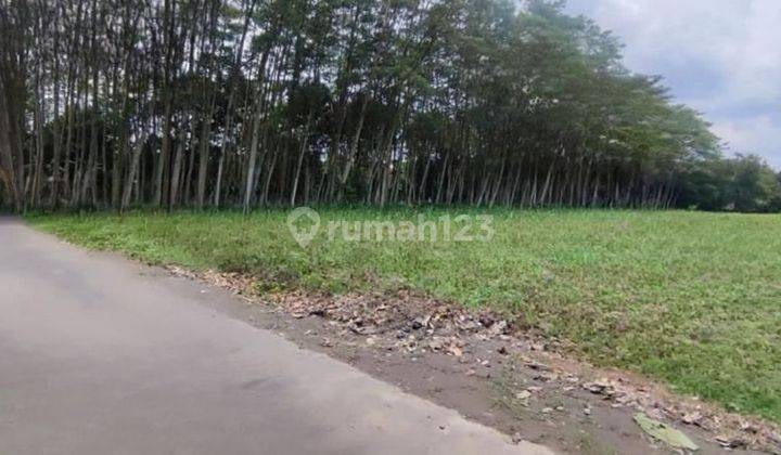 Baru Kavling Hunian Jangka Panjang 3