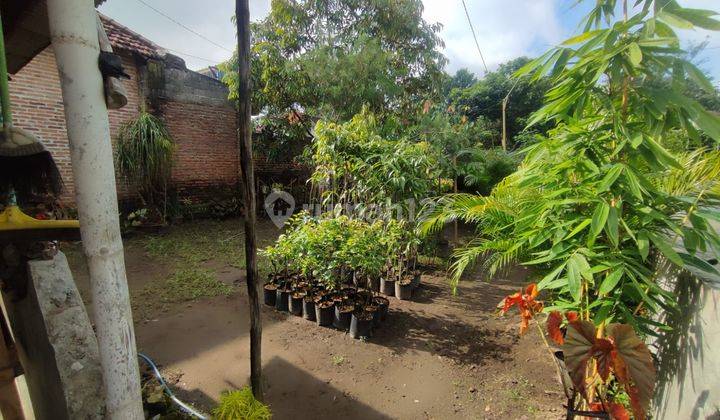 Rumah Ngadiluwih 100 M Dari Jalan Raya Antar Provinsi Luas 672 M2 4