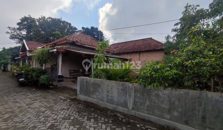 Rumah Ngadiluwih 100 M Dari Jalan Raya Antar Provinsi Luas 672 M2 5