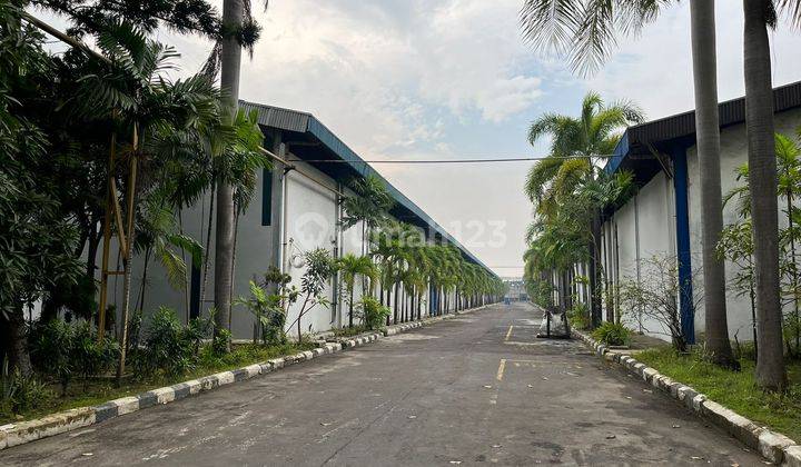 Disewakan Gudang Siap Pakai Lokasi Cikande Serang Banten 2