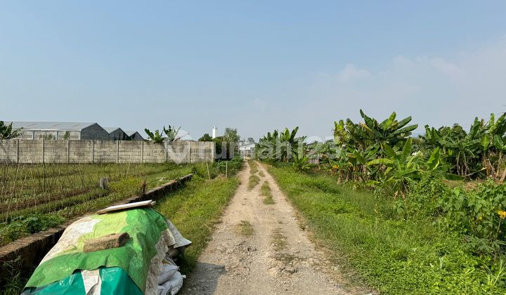 Tanah Siap Bangun di Komplek Pergudangan Kav Dpr Cipondoh