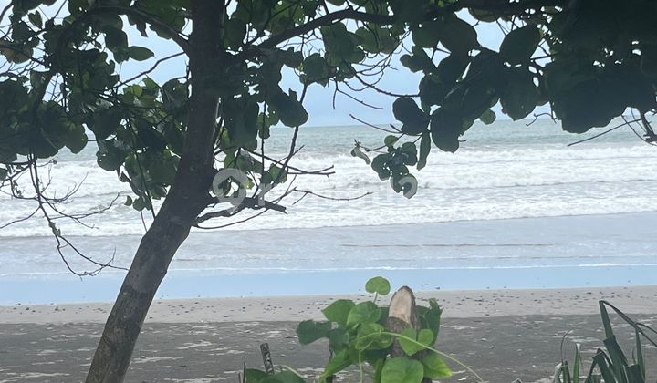 Jual Tanah Los Pantai Luasan Kecil Di Tabanan Bali Jual Tanah Los Pantai Luasan Kecil Di Tabanan Bali