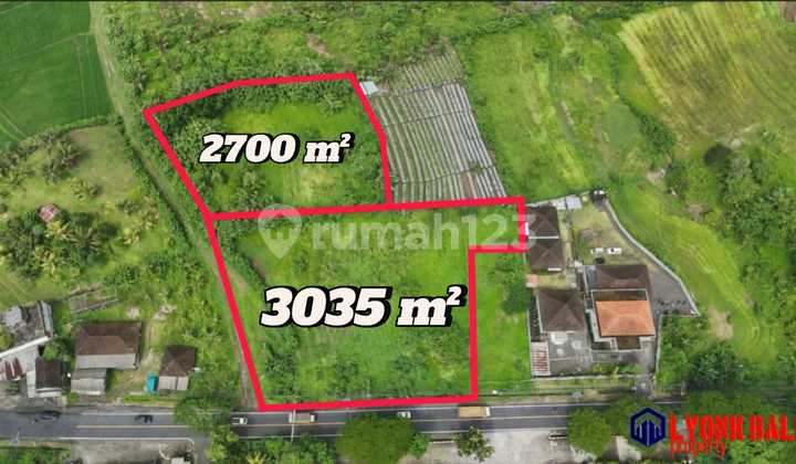 Dijual Tanah Dekat Jalan Provinsi di Taban Bali