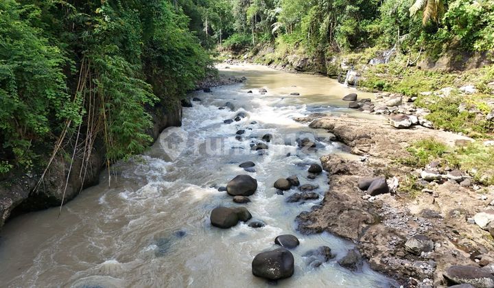 Dijual Tanah Los Sungai Besar di Tabanan