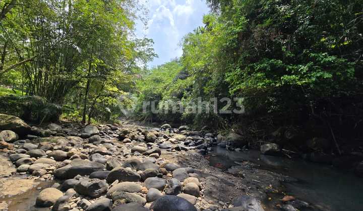 Tanah Murah Los Sungai View Junggle Tabanan Bali