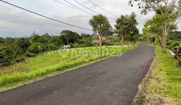For Sale Location in Residential Zone 2 Minutes to Tabanan Beach Bali