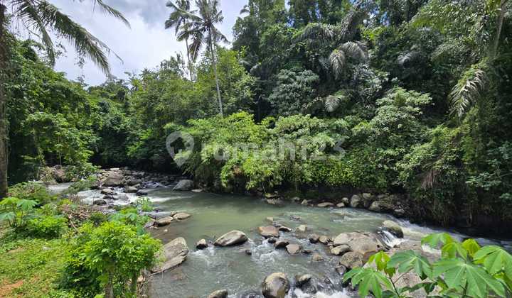 Strategic Land Area for Villas and Tourism in Penebel, Tabanan, Bali