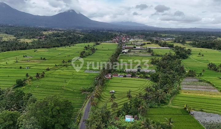 Selling Small Land with Beautiful Rice Field View in Tabanan, Bali