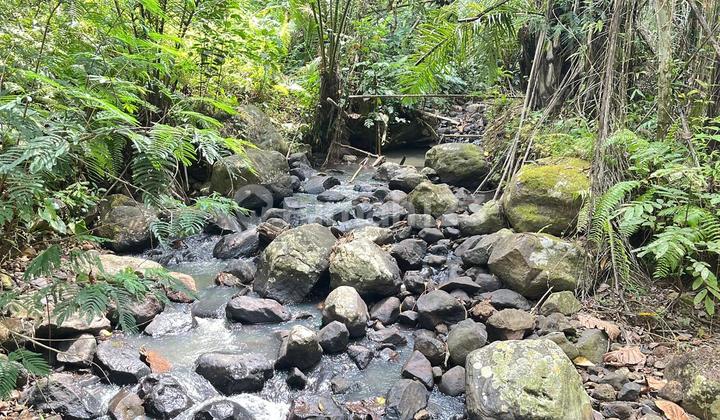 Tanah Los Sungai Cocok Untuk Villa Dan Investasi Tabanan Bali
