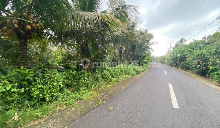 Los Sungai Lembah Indah Fruit Orchard Land in Tabanan Bali. 1