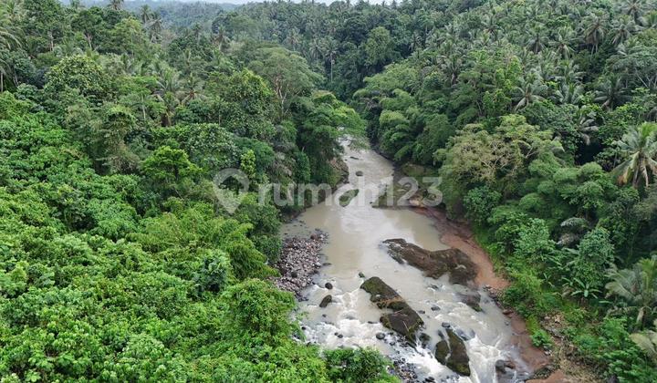 Land for Sale in Sungai Besar, Tabanan, Bali