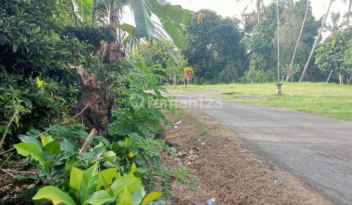 Selling Small Area Fruit Garden Land in Tabanan Bali. 1