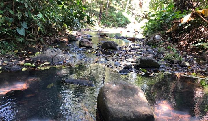 Jual Tanah View Sawah Lembah Los Sungai Di Tanaban Bali