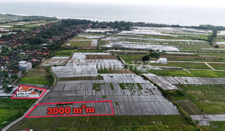 Sell Land in Pink Zone Area, Kelating Beach, Tabanan, Bali Sell Land in Pink Zone Area, Kelating Beach, Tabanan, Bali