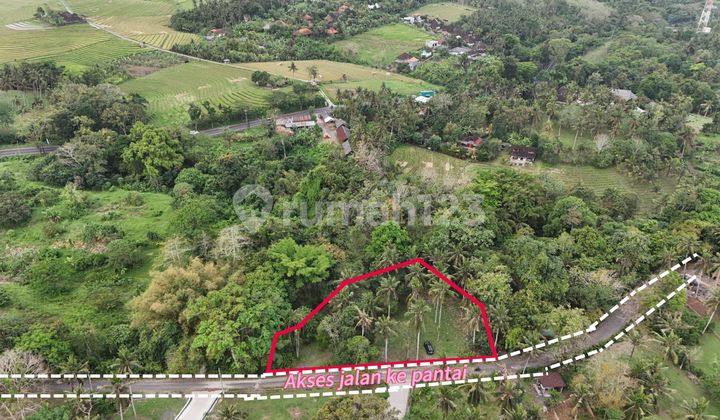 Dijual Tanah Dekat Pantai di Tabanan Bali