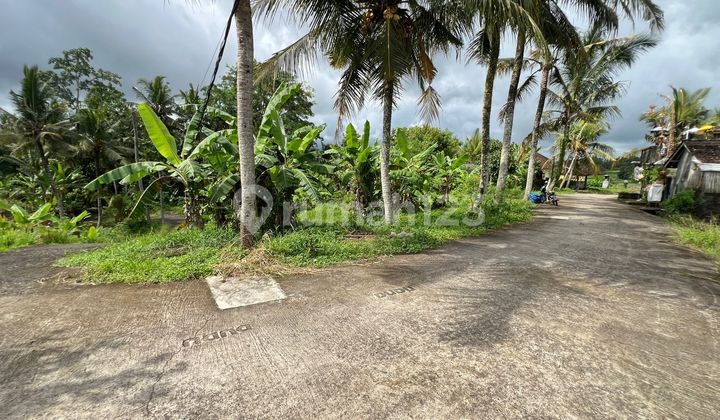 For Sale Land with Views of Terraced Rice Fields and Sea in Tabanan Bali For Sale Land with Views of Terraced Rice Fields and Sea in Tabanan Bali