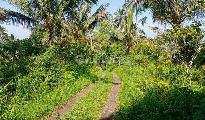 Tanah Kebun View Laut Murah Di Tabanan Bali 1