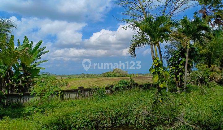 Tanah kebun view sawah dekat umadhatu dan jalan utama di bali 1