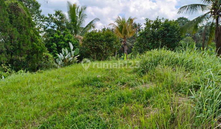 Tanah kebun view sawah dekat umadhatu dan jalan utama di bali 2