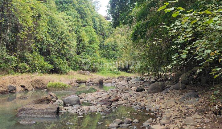 Tanah kebun los sungai view sawah 100 meter dari pantai 1