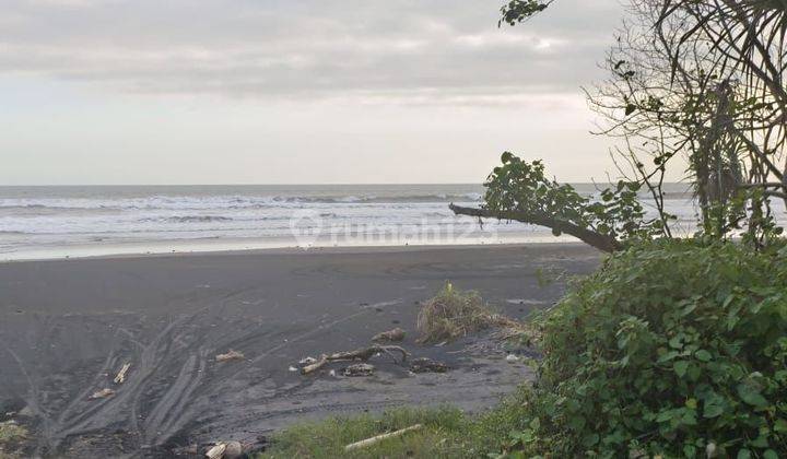 Tanah los pantai murah di tabanan bali.  1