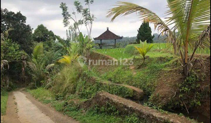 The land with views of terraced rice fields has residential aspects.  1