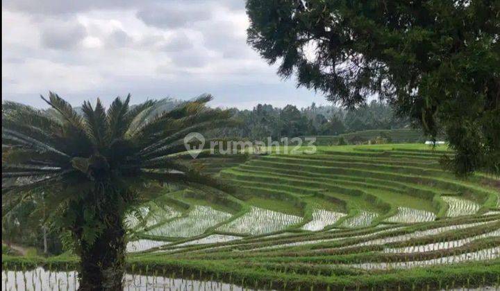 The land with views of terraced rice fields has residential aspects.  2