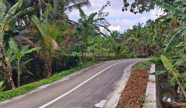 Tanah luasan kecil,view sawah harga terjangkau. 1