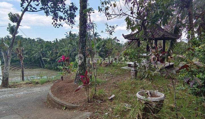 Tanah luasan kecil,view sawah harga terjangkau. 2