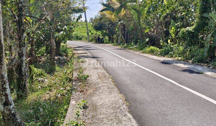  Dijual Tanah luasan kecil dg view sawah dan los sungai 1