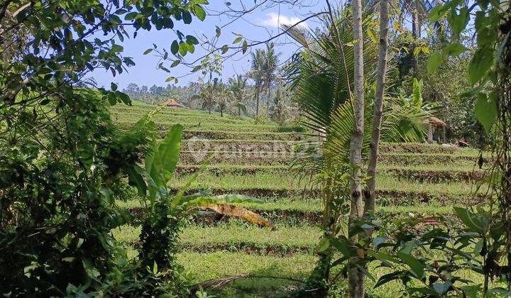  Dijual Tanah luasan kecil dg view sawah dan los sungai 2