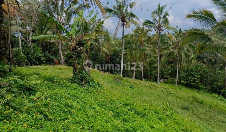 Tanah kebun view lembah murah di tabanan bali 2