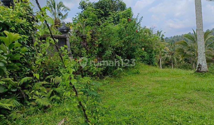 Tanah kebun view lembah murah di tabanan bali 1