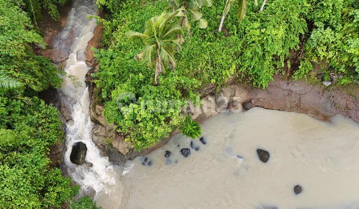 Jual Tanah Los Sungai Besar Suasa Asri Alam Pedesaan Harga Murah Di Tabanan Bali Contour Datar Landai