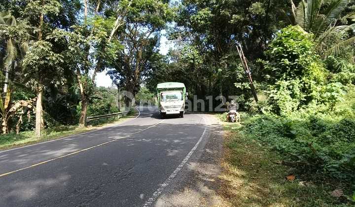 Land by Denpasar-Gilimanuk Road Near Tabanan Beach Bali Land by Denpasar-Gilimanuk Road Near Tabanan Beach Bali