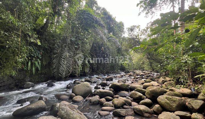 Jual Tanah Los Sungai Cantik Di Tabanan Bali. 1
