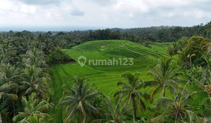 Jual Tanah View Sawah Cantik Murah Di Tabanan Bali 2