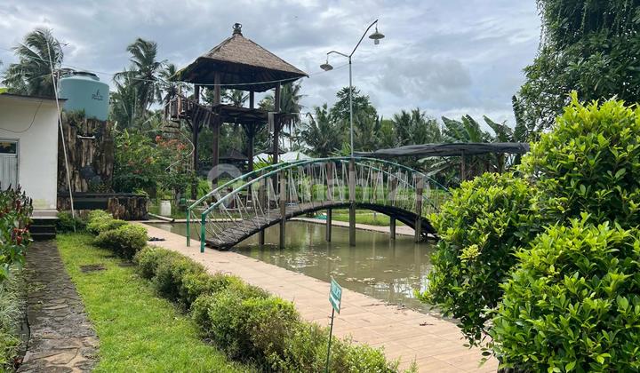 Sell Tafan with Villa Building in Tabanan, Bali