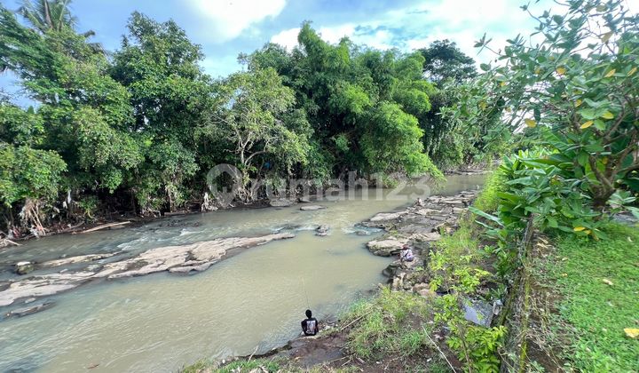 For Sale Land River View Beautiful Rice Field Near Kelating Beach Tabanan Bali For Sale Land River View Beautiful Rice Field Near Kelating Beach Tabanan Bali