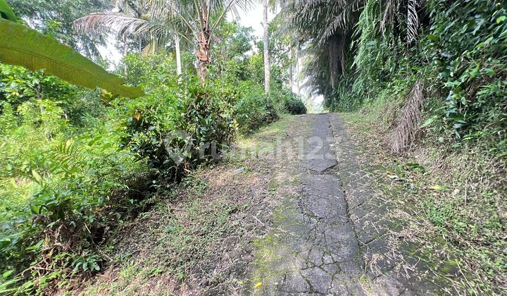 For Sale: Garden Land with River View Near Tabanan City, Bali