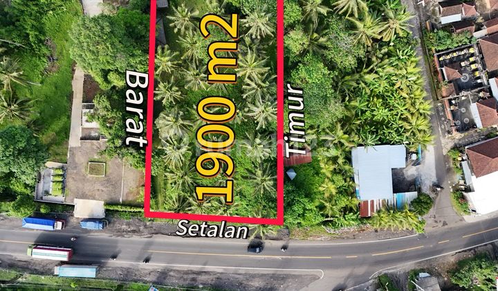 Land for Sale on the Main Denpasar-Gilimanuk Road, near Tabanan City.