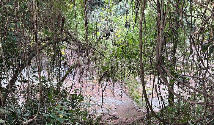 Small Area Garden Land Los Sungai View Rice Fields In Tabanan Bali 2