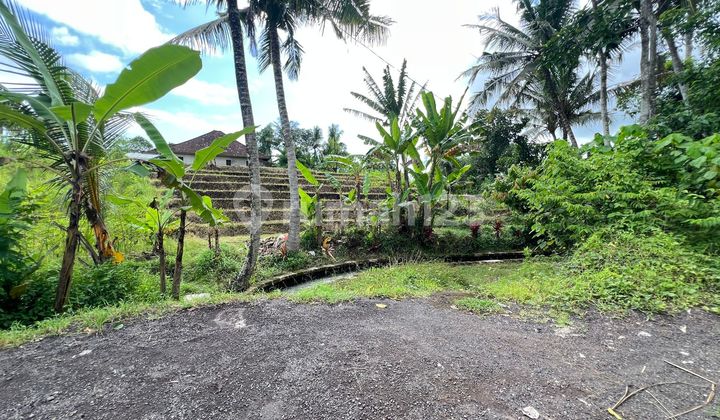 Sell Small Plot of Land with Rice Field Terrace View Near the Beach in Tabanan, Bali Sell Small Plot of Land with Rice Field Terrace View Near the Beach in Tabanan, Bali