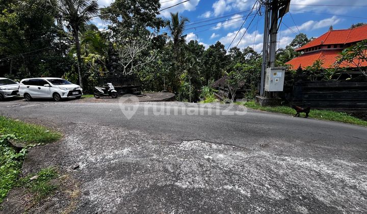 Dijual Tanah Isian Beragam Buah Lokal Di Tabanan Bali