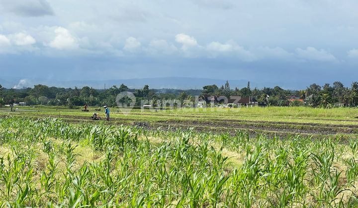 Land for Sale Near Tabanan Beach