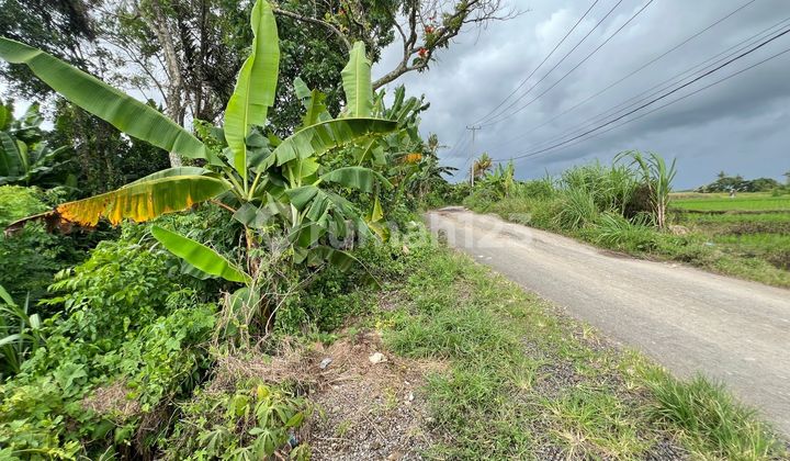 For Sale: Land with Beautiful Rice Field and Mountain View in Bali For Sale: Land with Beautiful Rice Field and Mountain View in Bali