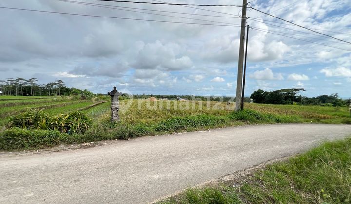Selling Land with Views of Rice Fields, Mountains, Sea, and Denpasar City Near Tabanan City Selling Land with Views of Rice Fields, Mountains, Sea, and Denpasar City Near Tabanan City