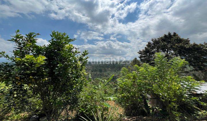 Tanah Buah View Gunung Dan Lembah Indah Di Tabanan Bali. 2